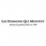 LES_DOMAINES_QUI_MONTENT